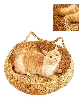 Amazon | ペットベッド 猫 ベッド 夏 犬ベッド 夏用 犬猫用 猫