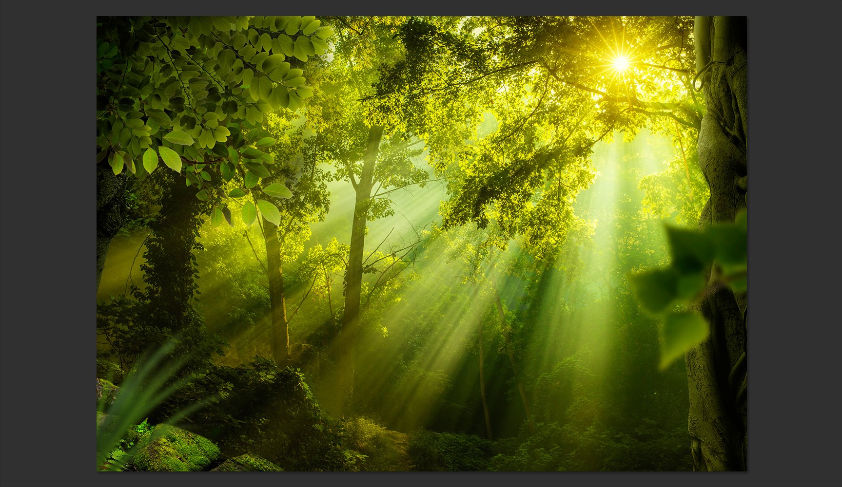 murando - Fototapete selbstklebend Wald, 392x280 cm, Schlafzimmer, Full HD