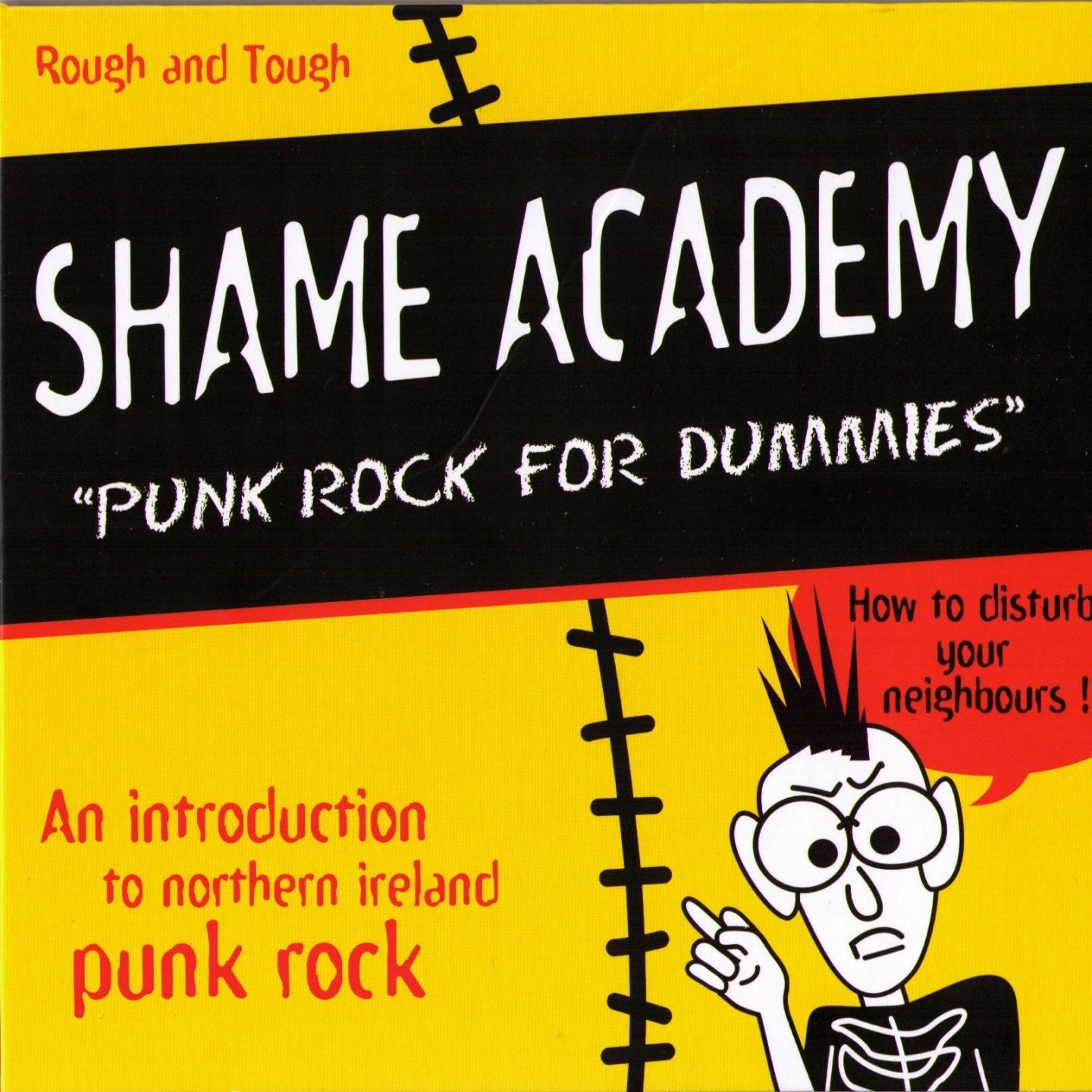 punk rock for dummies