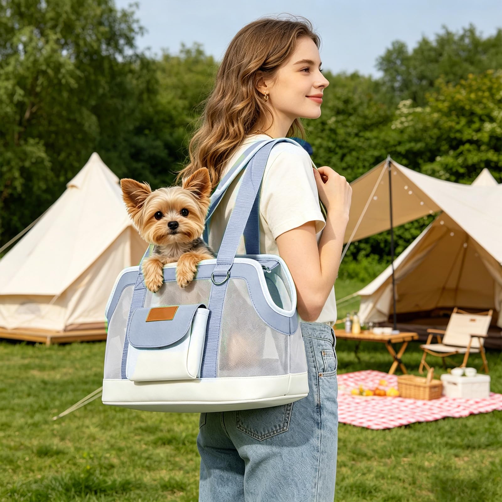 Hundetragetasche bis 5kg, Hundetasche für Kleine Hunde & Katzen, Tragetasche Hund, Hunde Tragetasche, Katzentransporttasche, leichte atmungsaktive Reisetasche (Grau)