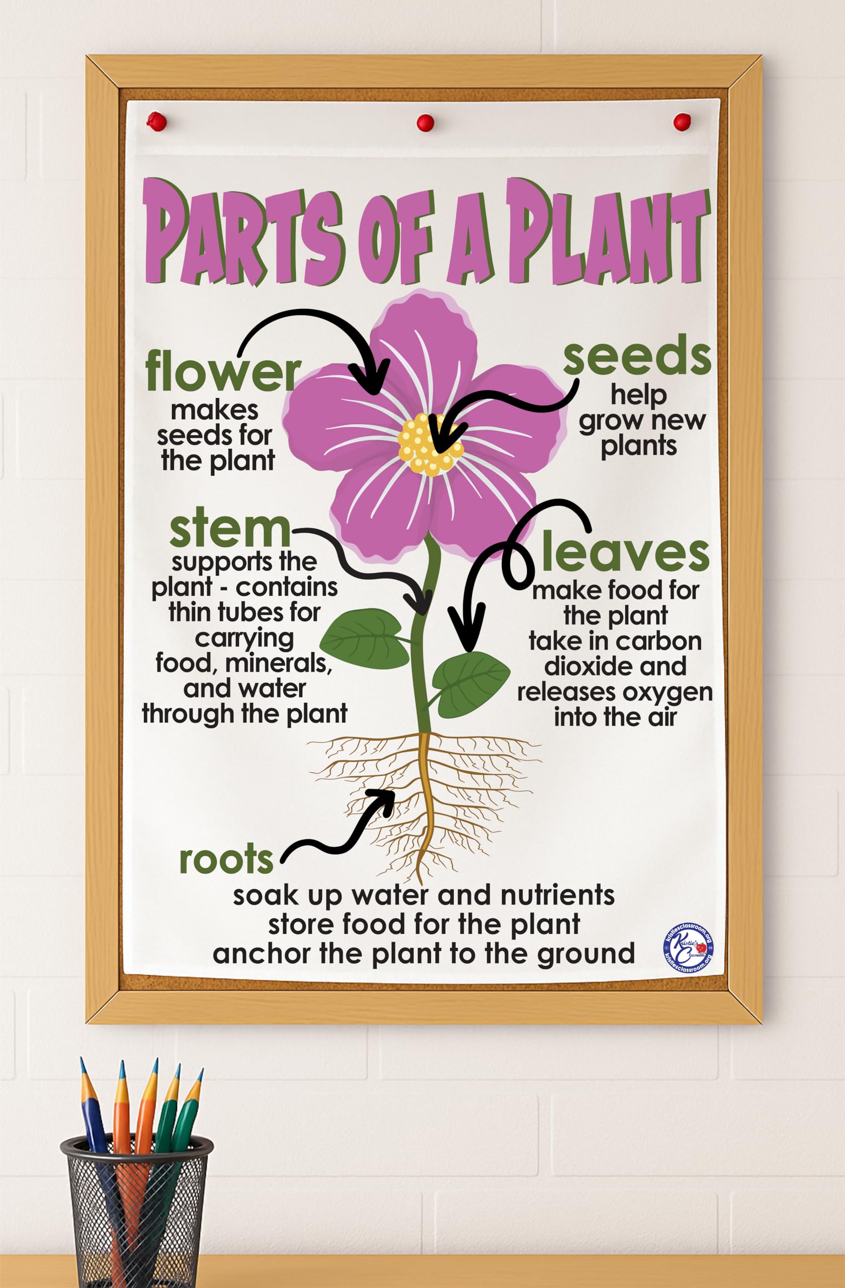 What Part of the Plant Produces Food for the Plant: Unveiled!