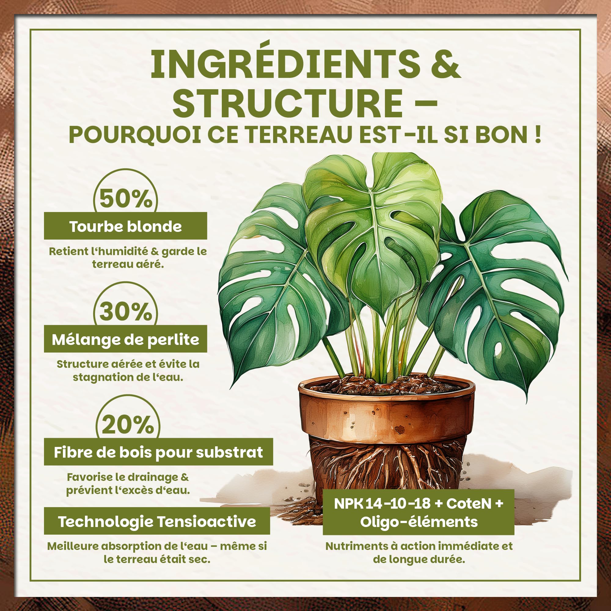 Green Home Terreau Aroides 72L – Substrat pour Monstera, Philodendron & Plantes Tropicales – avec Perlite pour Un Drainage Optimal – pour bonsaïs, Palmiers & orchidées