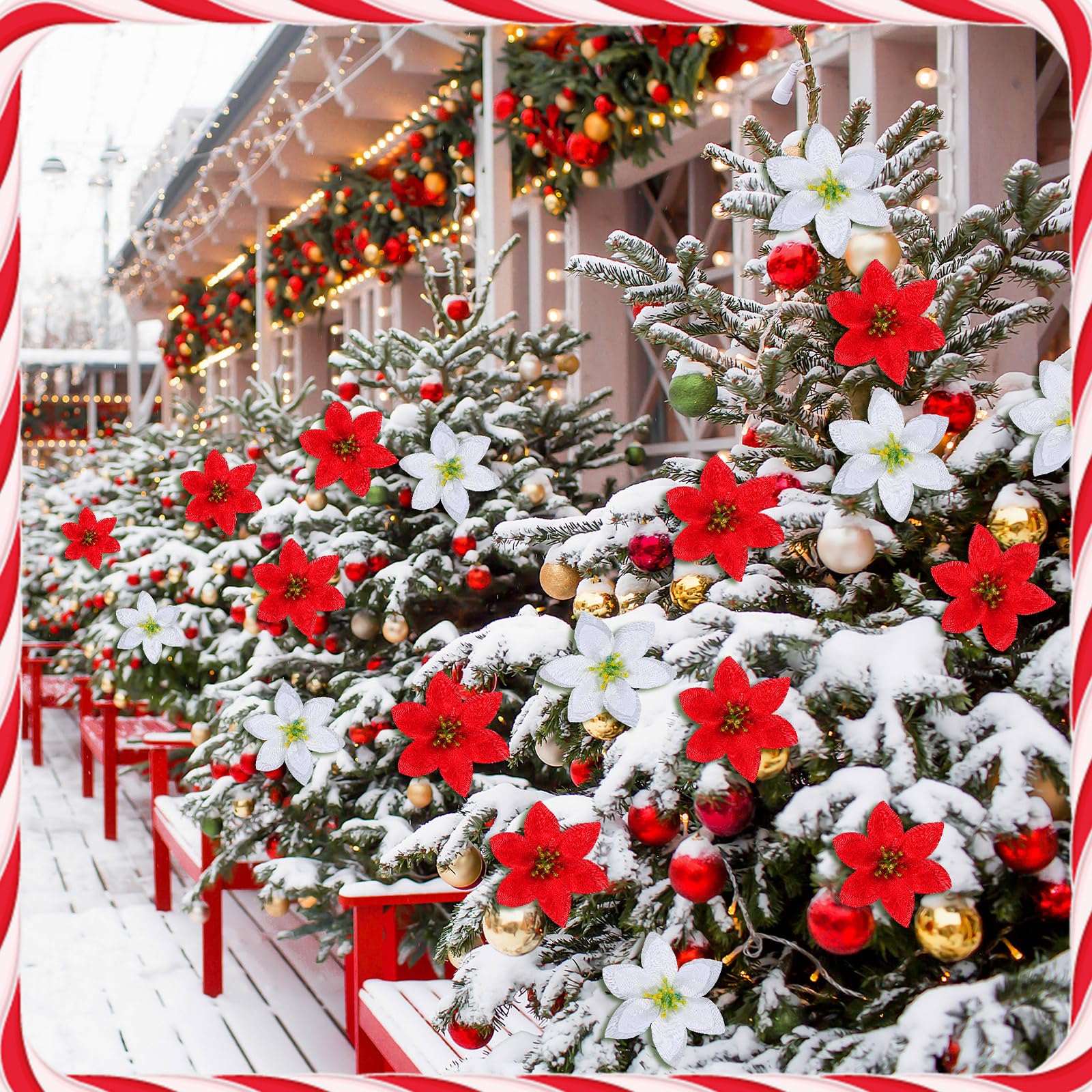 meekoo Lot de 48 poinsettia artificielles à 7 têtes avec tige pour décoration de maison, mariage, table, cour, cimetière (rouge, blanc)
