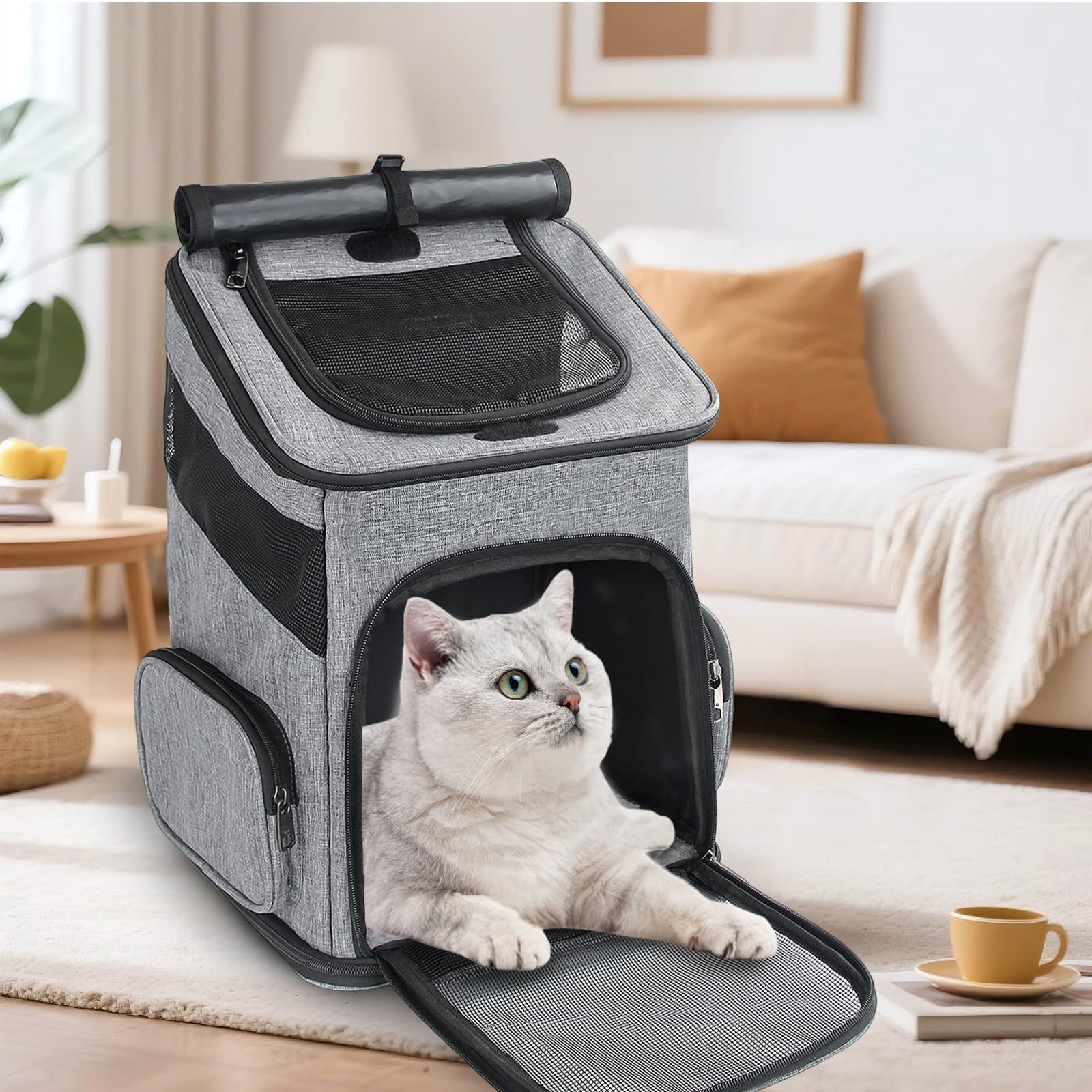 Cat Backpack, Foldable Pet Carrier Backpack for Cats and Small Dogs Dog Rucksack with Ventilated Design Inner Safety Strap - Image 2