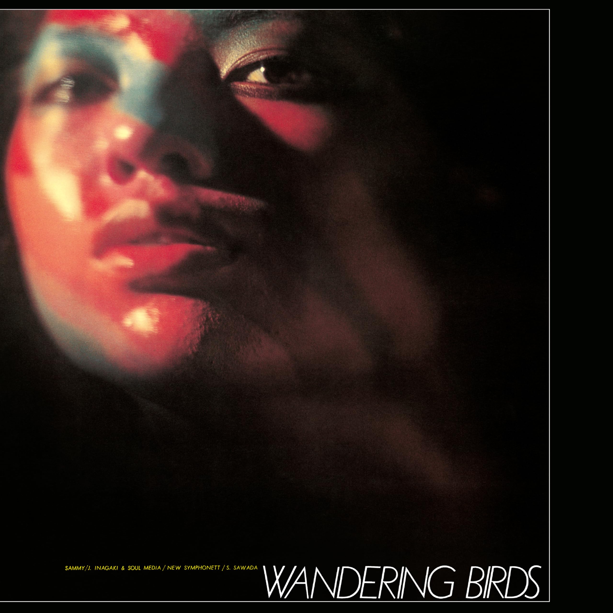 Wandering Birds - Clear Purple Vinyl [Vinyl LP] [VINYL]