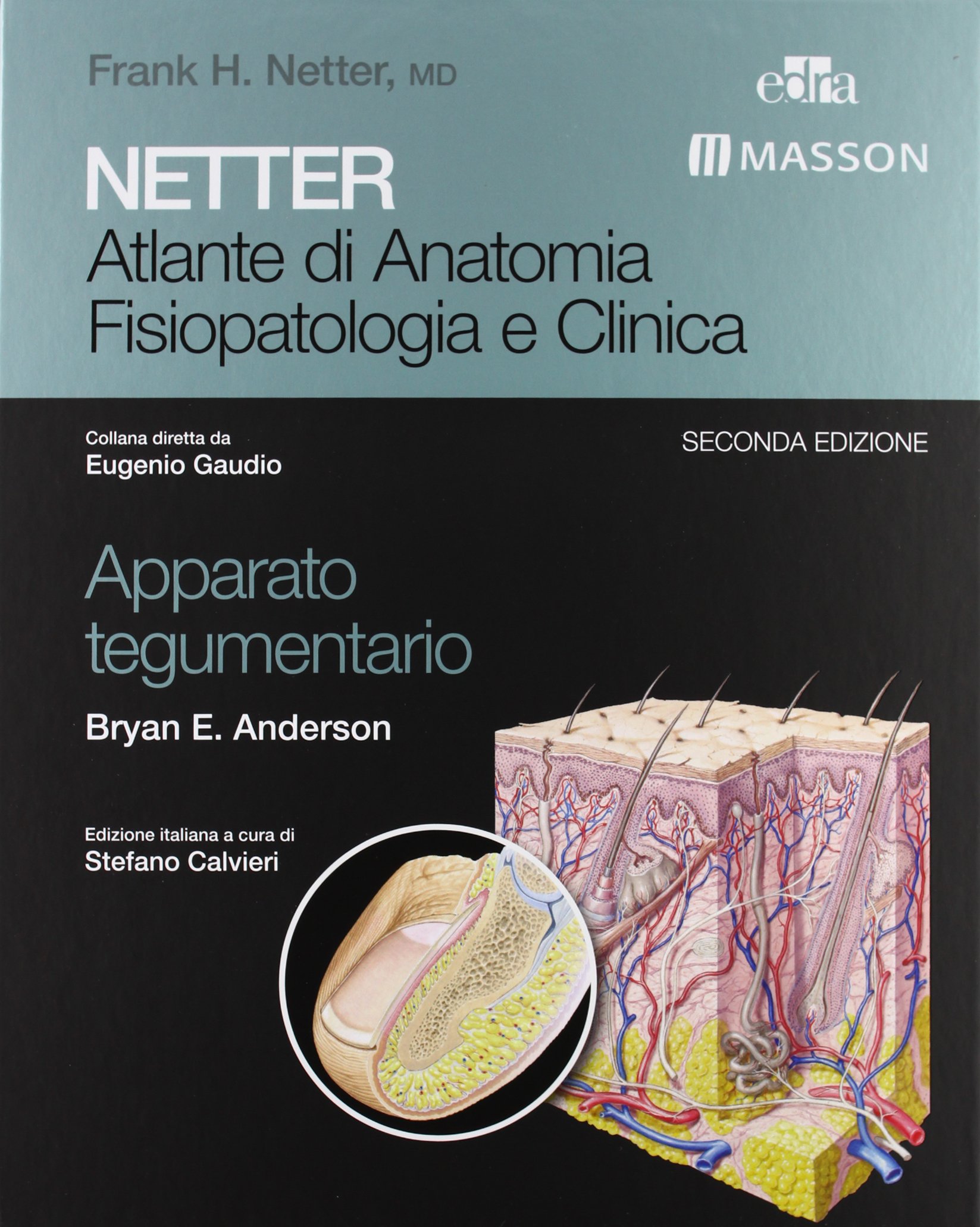 Netter. Atlante di anatomia fisiopatologia e clinca: apparato tegumentario