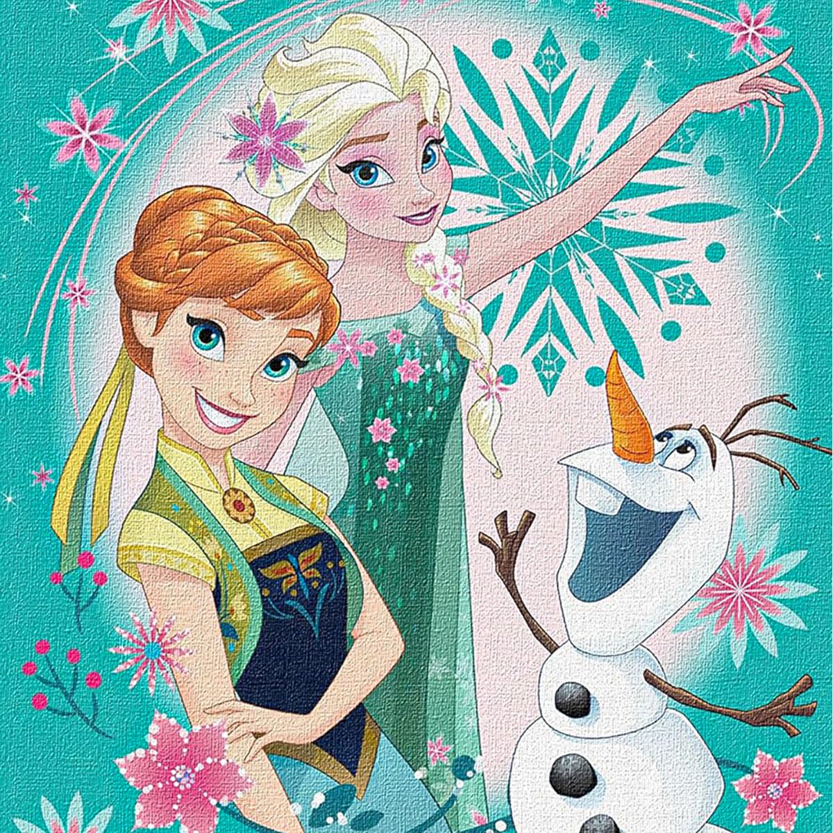 Amazon.com: Northwest Frozen Woven Tapestry Throw Blanket, 48
