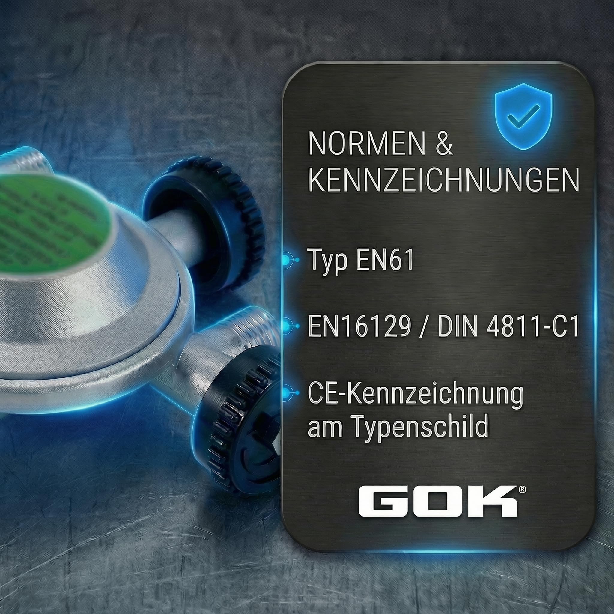 GOK Niederdruckregler TYP EN61 50mbar lose