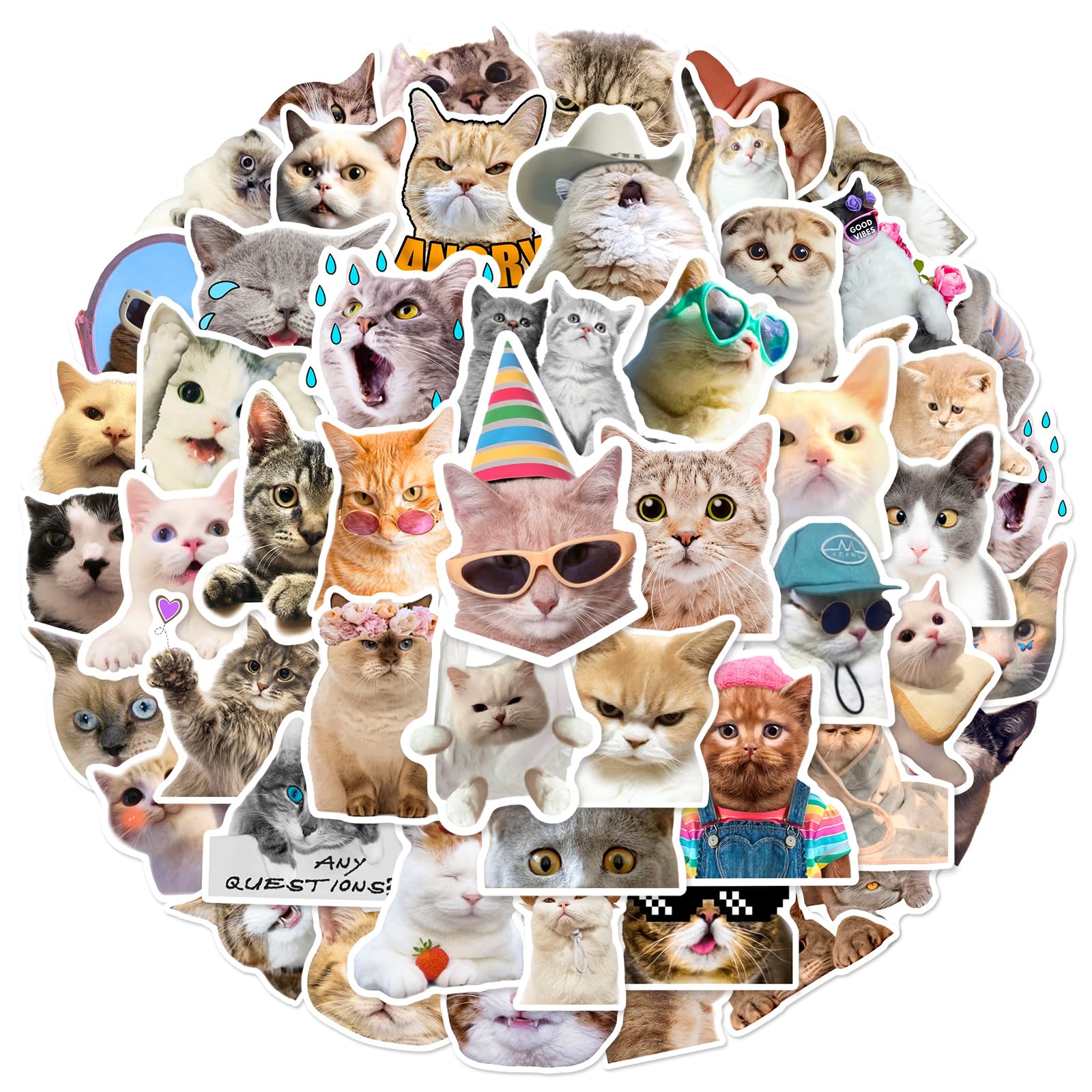 Cats - 50 pegatinas de vinilo impermeables para coches, motos, ordenadores portátiles, bicicletas, monopatines, tablas de snowboard, equipaje, MacBook, iPad y más, fáciles de poner y quitar