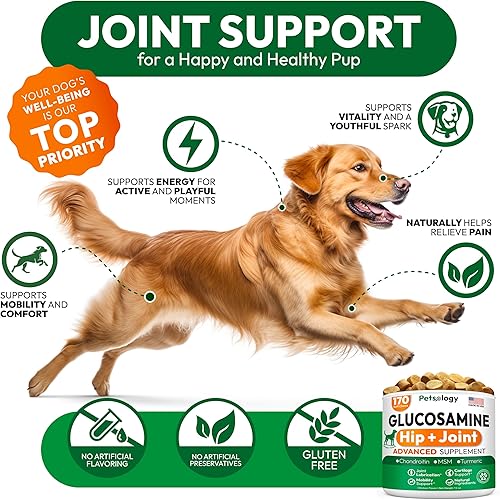 Miniatura 4 de Glucosamina para perros - Suplemento de cadera y articulaciones para perros - 170 masticables de movilidad - Glucosamina condroitina - MSM - Cúrcuma