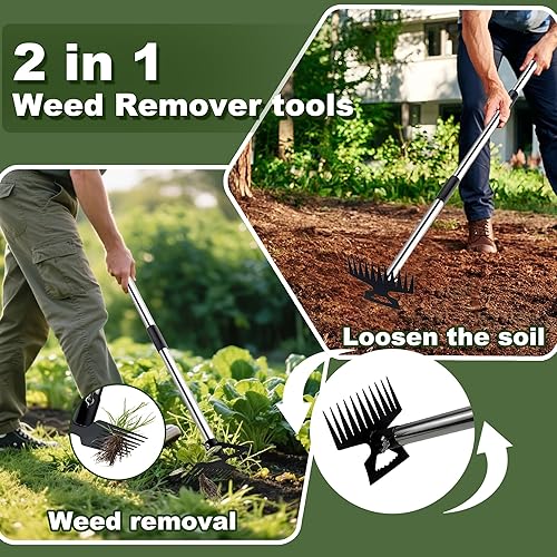 Miniatura 2 de Herramienta extractora de malezas con mango largo, herramienta de eliminación manual de desmalezadora de 60 pulgadas, rastrillo manual de malezas 2