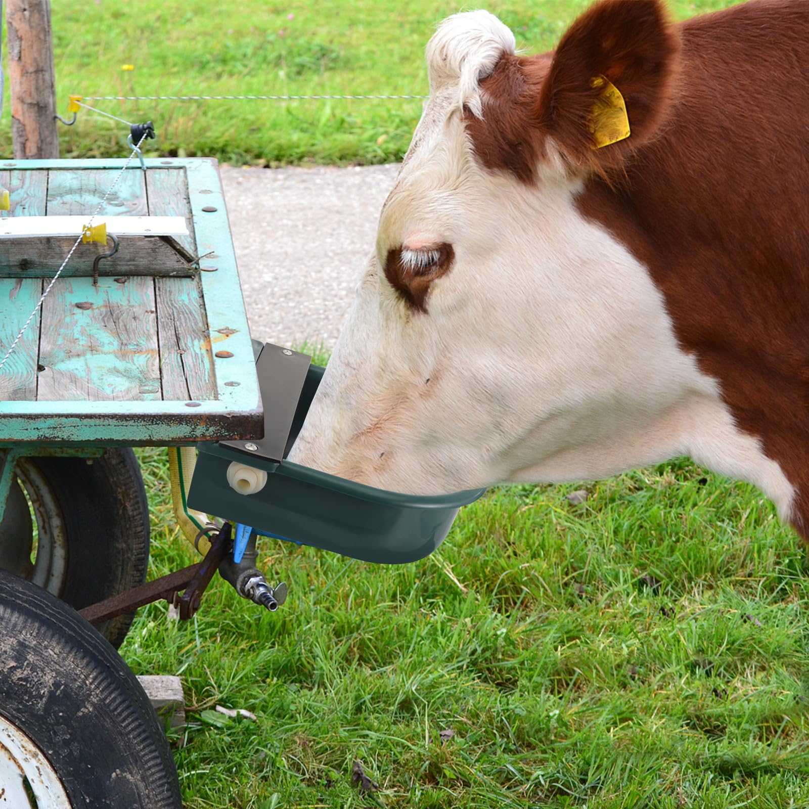 TEHAUX Abbeveratoio Automatico Livello Acqua Costante per Bestiame in Plastica Ciotola per Acqua Potabile ad Uso Automatico per Cavalli e Animali da Fattoria