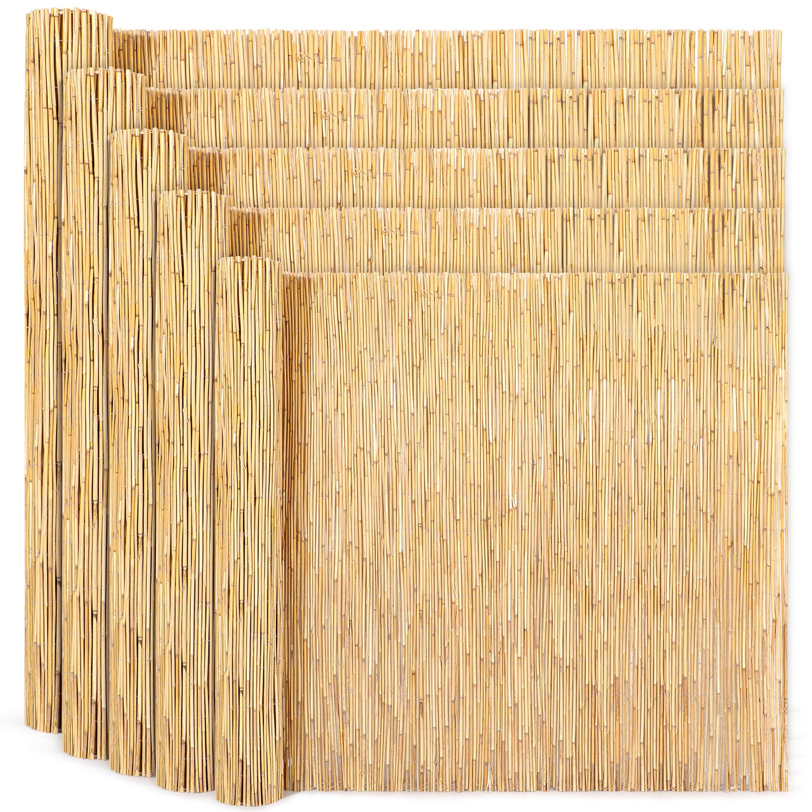 Schilfrohrmatte Sichtschutz in 12 Größen | 180x300 cm | Sichtschutzmatte aus Schilfrohr für Balkon, Garten und Terrasse | natürlicher Zaun Sichtschutz