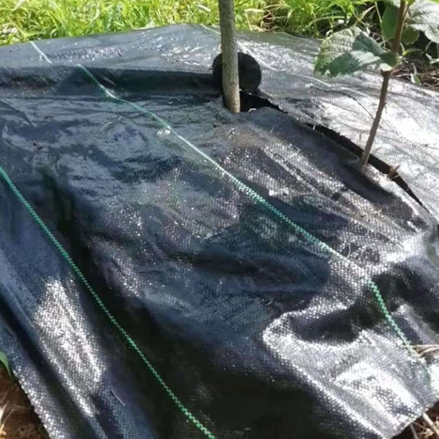 Weed Barrier Landscape Fabric Ground Cover - Heavy Duty Garden Weed Mat for Greenhouses, Courtyards, Flower Beds