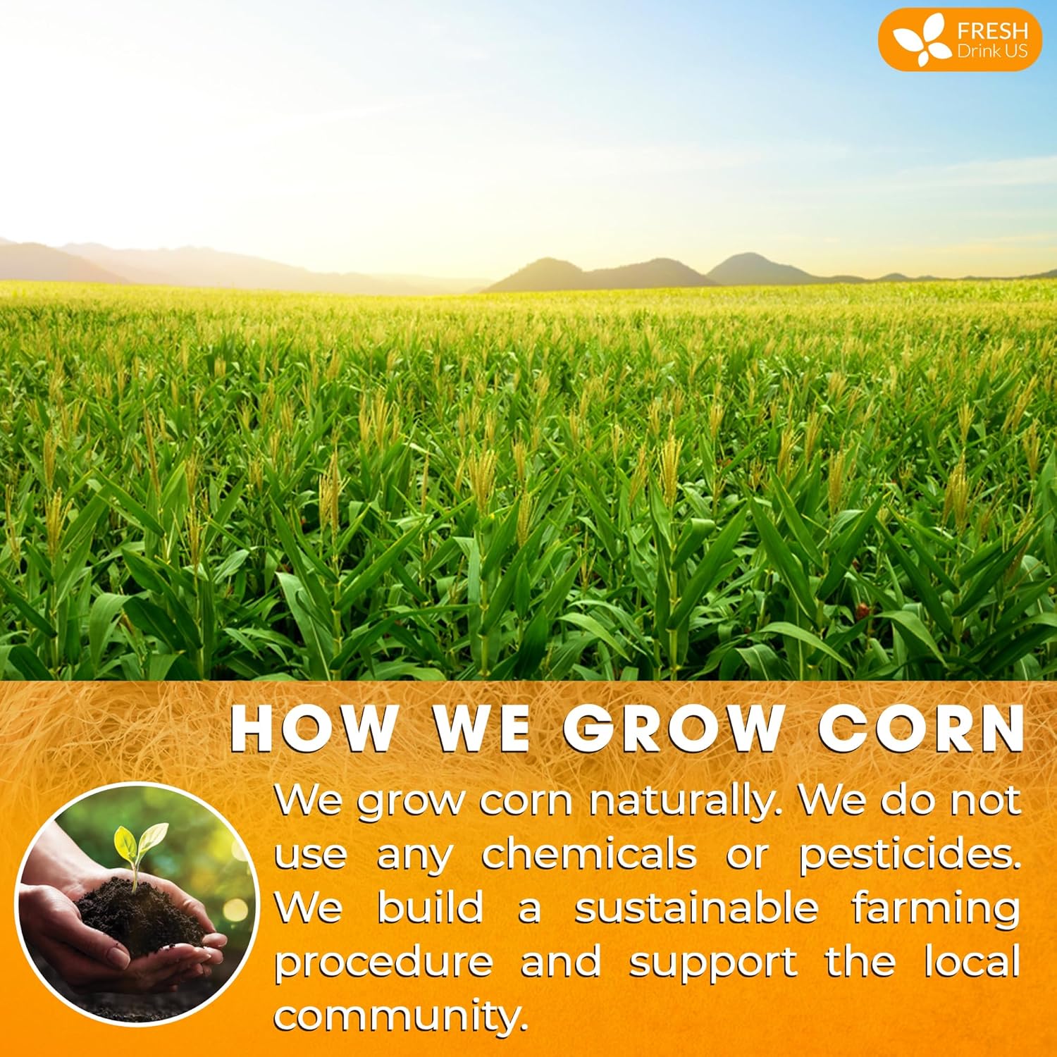 FreshDrinkUS, Premium 10 Tea Bags Corn Silk Tea, 100% Natural & Pure from Corn Silk. Herbal Tea. Clean Ingredients. Made with Natural Material Tea Bags. No Sugar, No Caffeine, Vegan. - Image 5