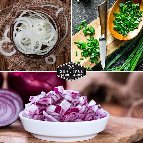 Miniatura 3 de Colección de semillas de cebolla Short Day para plantar, 3 paquetes para plantar y cultivar borgoña rojo, grano blanco, cebollas blancas largas