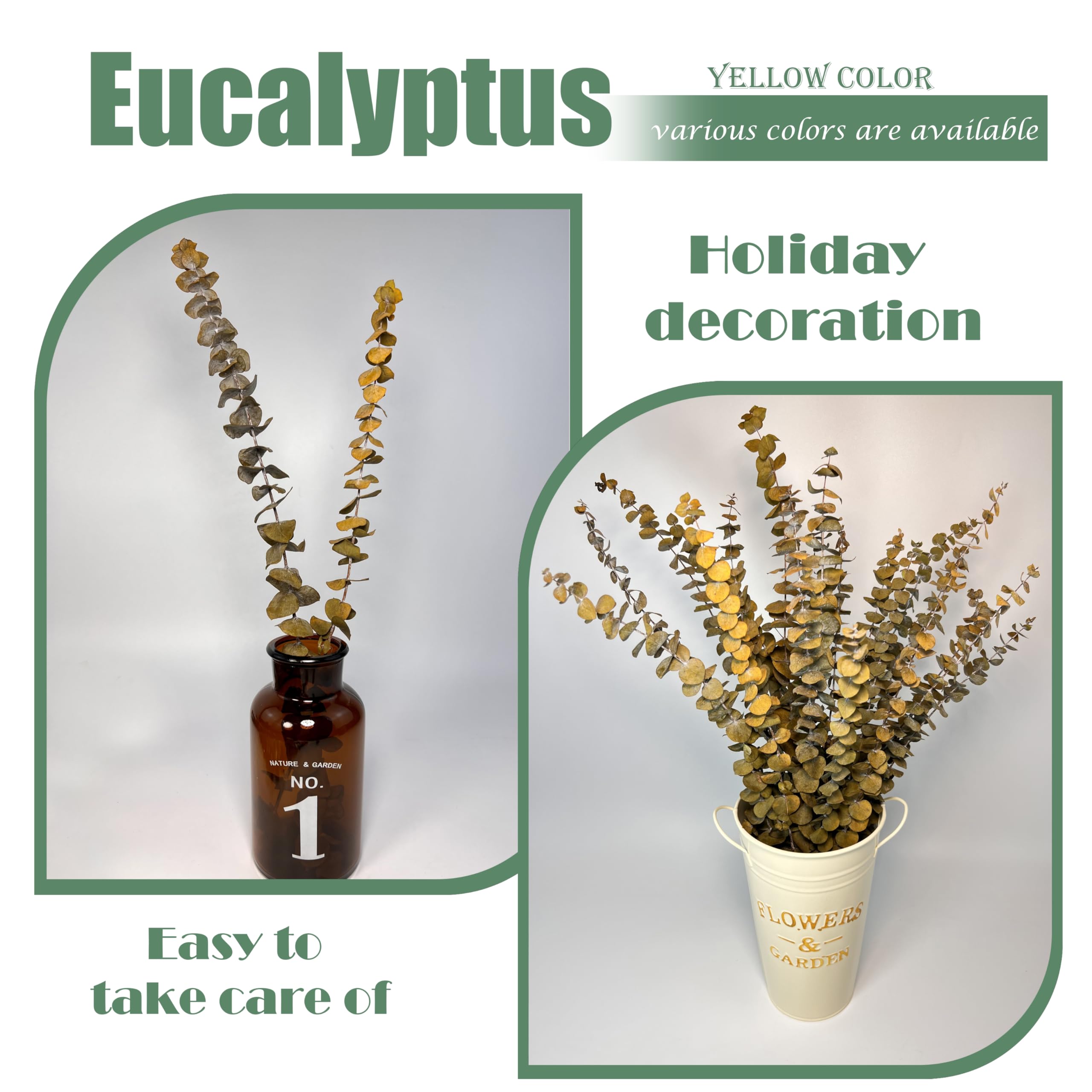 (20 pièces) tiges d'eucalyptus séchées – Rouge, véritable eucalyptus long, fleurs séchées pour vase, arrangement floral de 45,7 cm, mariage (jaune)