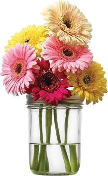 Jarware Mason Jar Lids, Flower Vase Lid and Pen Organizer For Wide Mouth Mason Jars