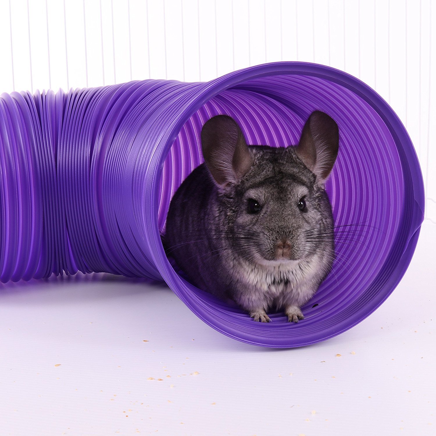 Ware Lot de 2 tunnels amusants en plastique pour petit animal de compagnie, violet/vert