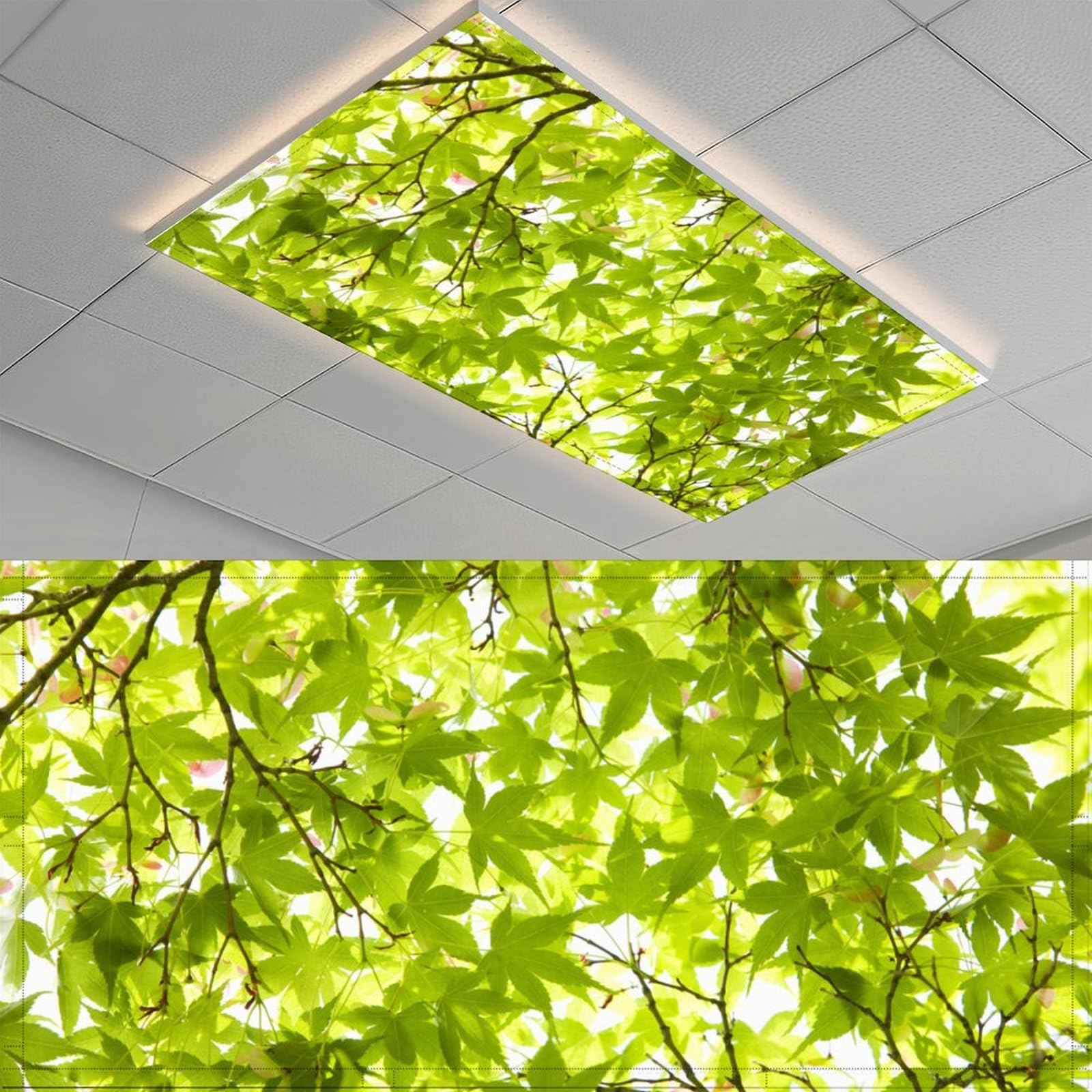 2 Pack Fluorescent Light Cover for Classroom, Green Tree Leaf Drop Ceiling Decorative Film Filter,Green Leaf Eliminate Harsh Glare Causing Eyestrain