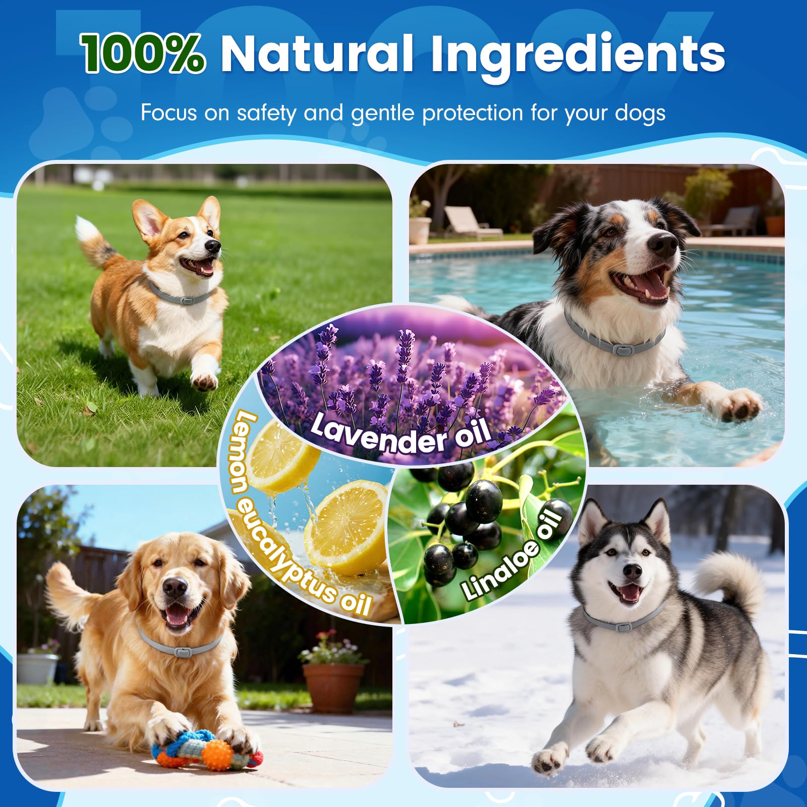 KOOSA Flea and Tick Collar for Dogs, 5 Packs Flea Collar for Dogs with Natural Essential Oils, Waterproof & Adjustable Flea and Tick Prevention Collar for Small Medium Large Dogs & Puppies, Grey 01 - 4