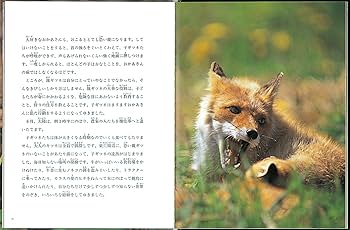 Amazon.co.jp: キタキツネのおかあさん (たくさんのふしぎ傑作集