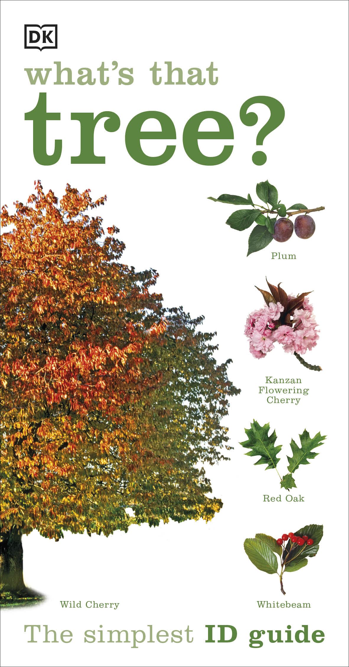 What's that Tree?: The Simplest ID Guide Ever
