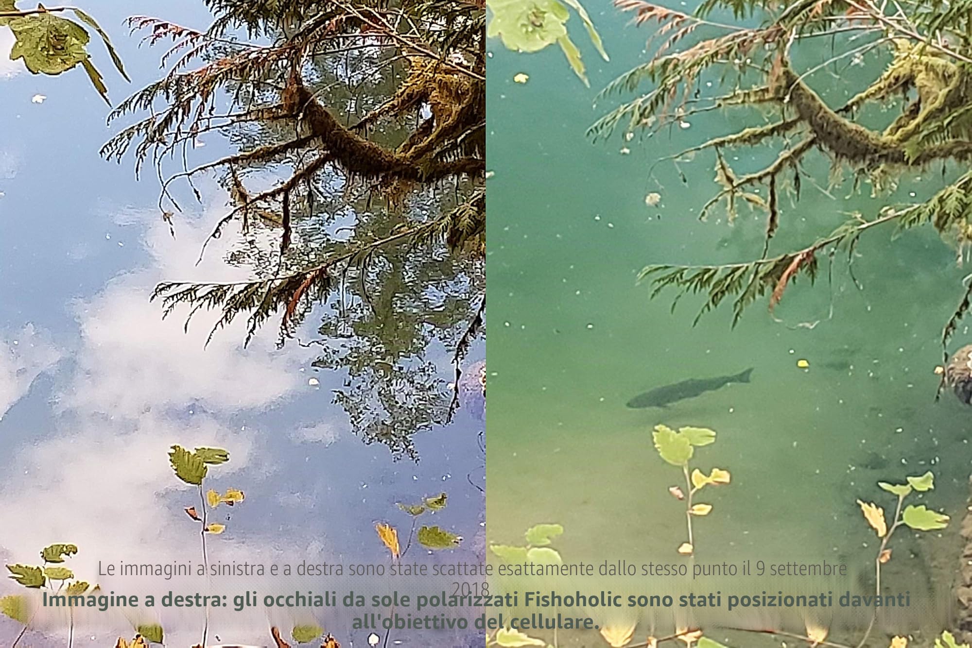 Fishoholic Occhiali da sole polarizzati da pesca -5 opzioni di colore - w custodia UV400 regalo di pesca