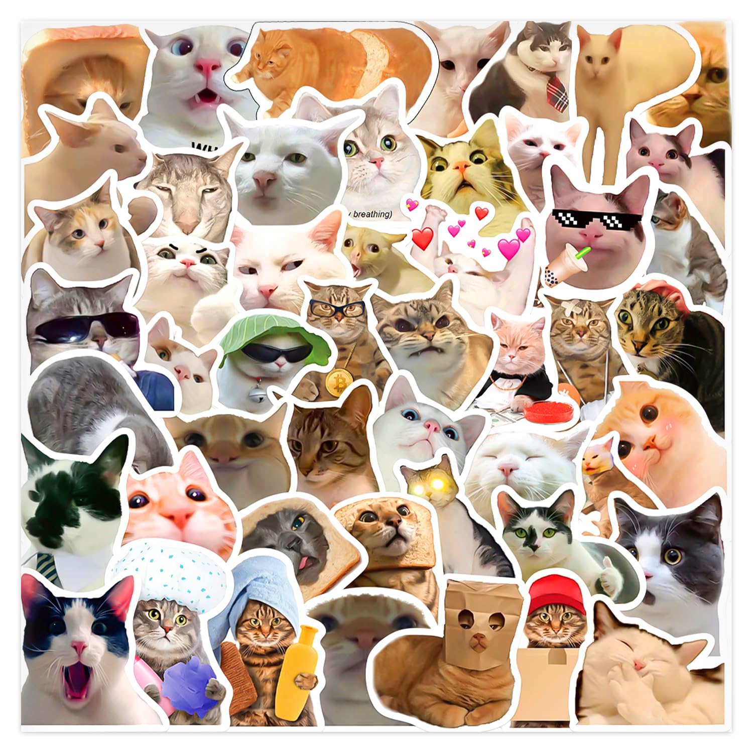 Bojueshaw Kawaii Cat Meme Stickers - 50pcs Waterproof Vinyl Stickers for Water Bottle and Scrapbook