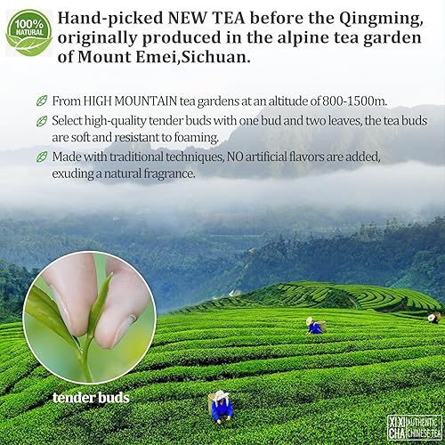 Miniatura 2 de Almacén de Tienda 2-3 días de entregaXIXICHA Maojian Tea Nuevo té grado AAA Emei Mount Zhuyeqing Té verde chino té verde chino té que she té verde
