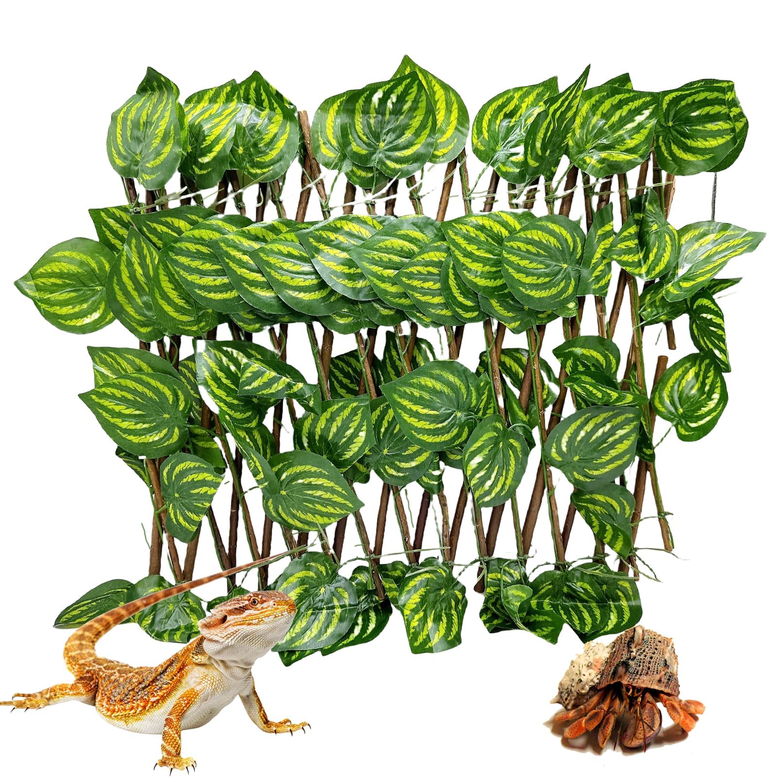 Acsist Reptile Hermit Crab Climbing Wall Toys - habitat decor | Mubboo