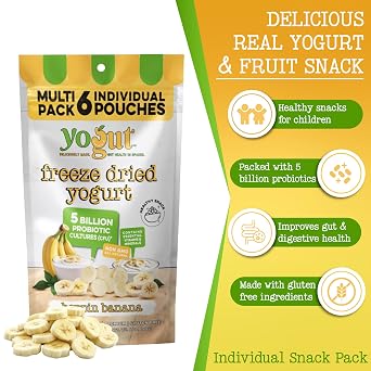 YoGut Freeze Dried Yogurt Snack, Banana, 6 Pk, Healthy Snacks for Kids, Toddlers & Adults, Gluten Free, Non GMO, With 5 Billion Live Probiotics, Vitamins & Minerals, Individual Snack Packs | On-the-Go Snacks for Kids & Adults, Gluten Free, Non GMO with 5 Billion Live Probiotics