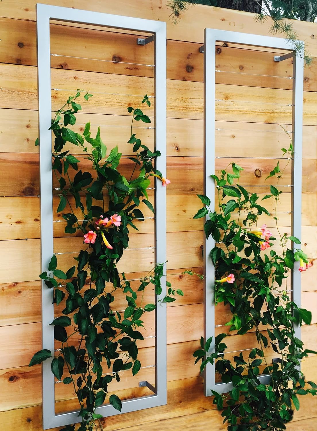 Ina Modern Wall Trellis for Outdoor Plants | Garden and Home Climbing Vines Wall Trellis | Modern, Steel & Durable | Large (Cloud)