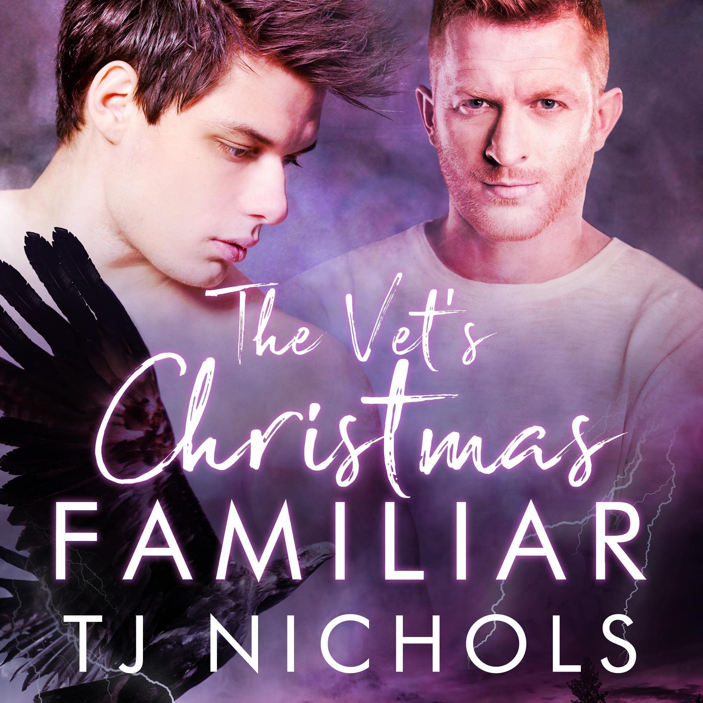 Cover art for The Vet's Christmas Familiar
