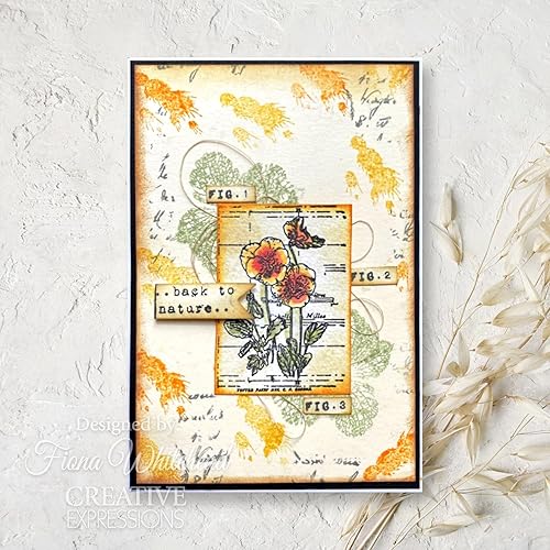 Miniatura 4 de Juego de sellos transparentes 4 "X6" por Sam Poole-Faded Flora CEC1046