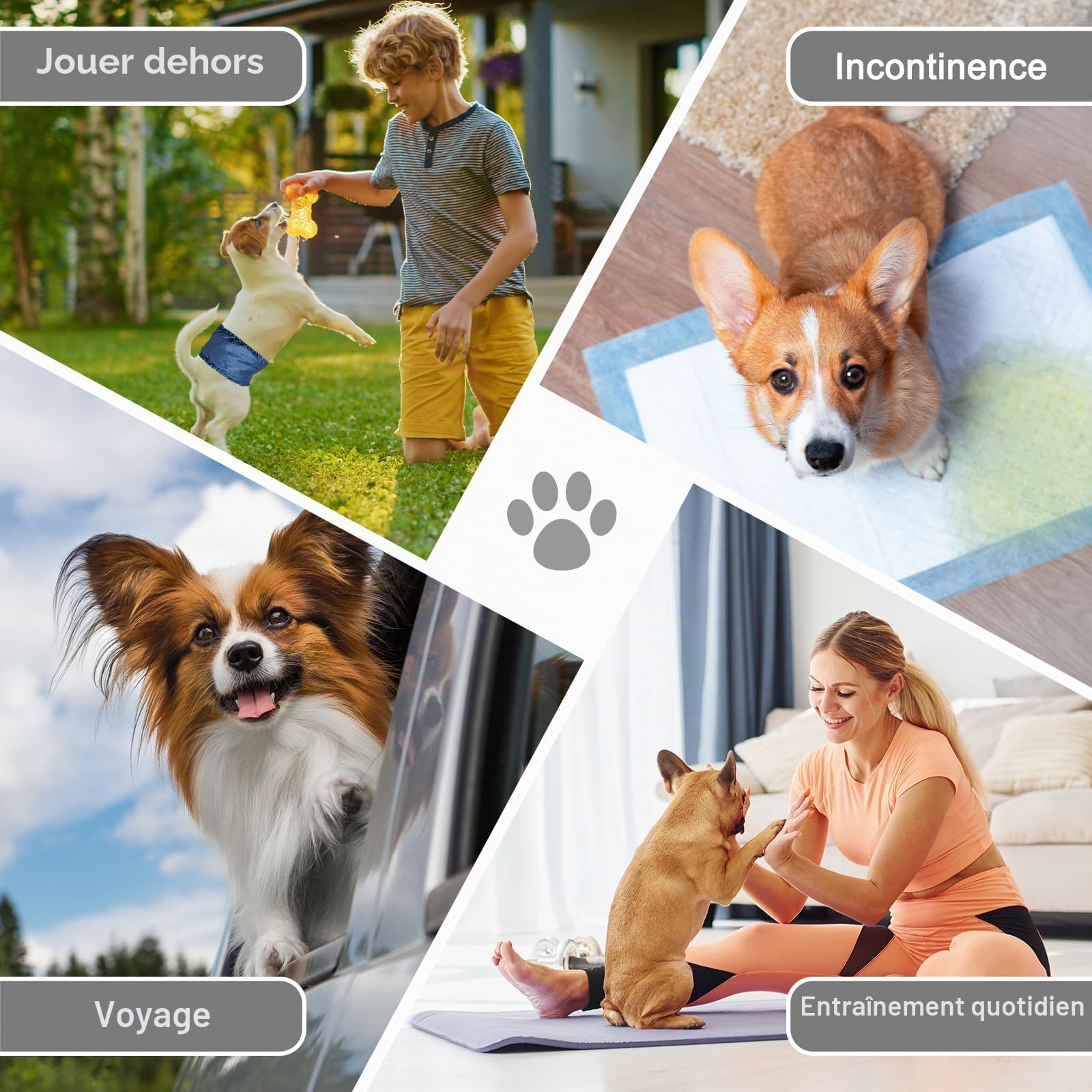 MICOOYO Couches lavables pour Chiens mâles, Couches absorbantes pour Chiens avec Fermeture à Scratch réglable fournies, Couches réutilisables pour Chiens, 3 pièces, L