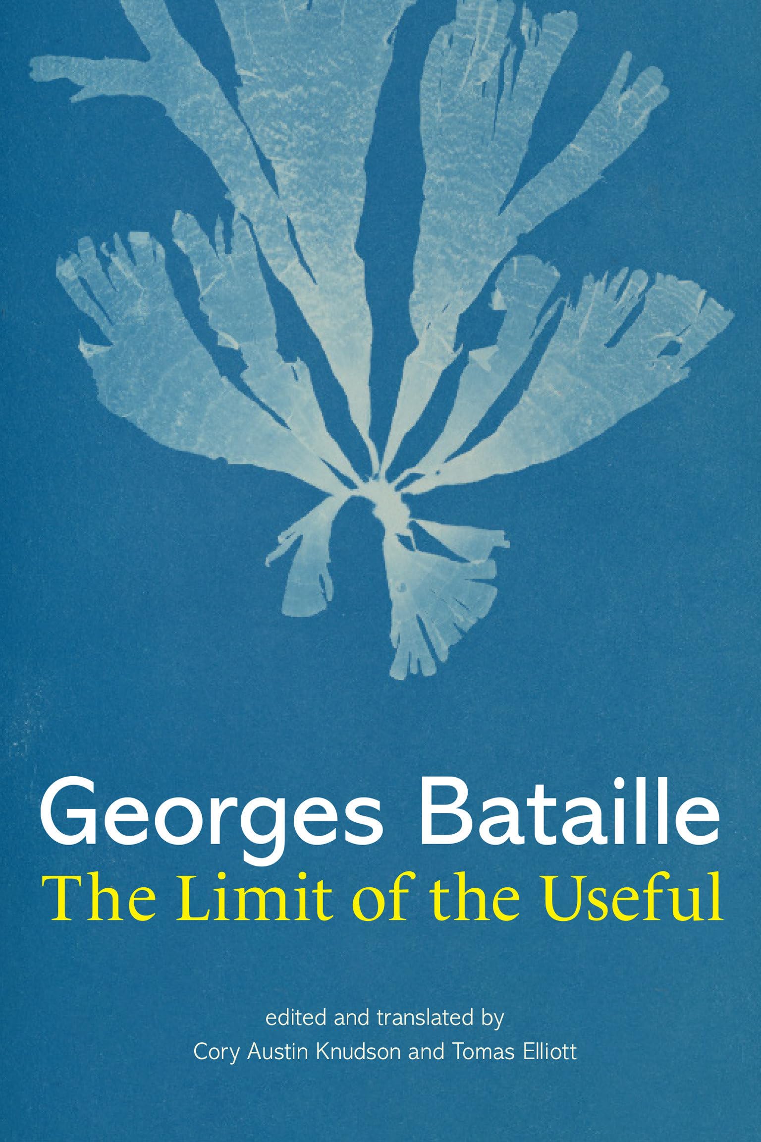 Limit of the Useful by Georges Bataille (2023, Hardcover)