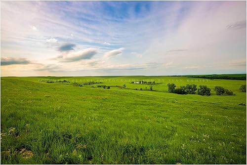 Great Plains Photography Print (Not Framed) Picture of Tallgrass Prairie on Spring Day in the Flint Hills of Kansas Prairie Wall Art Nature Decor
