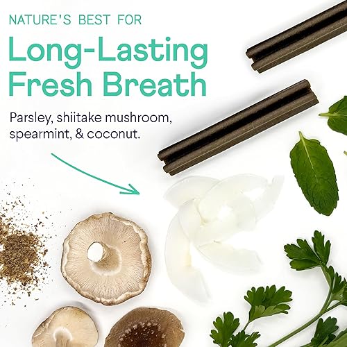 Miniatura 8 de Finn Plaque Patrol - Masticables dentales  Defensa de triple acción contra la placa, el sarro y el mal aliento  para perros medianos, más de 25