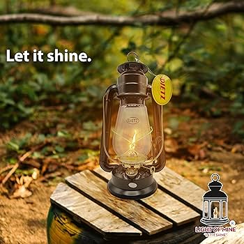 Amazon.com: Light of Mine - Dietz #20 Junior Replacement Globe