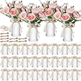 Ninehaoou 30 Pack 3.58 Inch Small Glass Vases for Centerpiece Bulk Flower Bud Vases Glass Bottles with Jute Ropes and Lace Ribbon for Vintage Rustic Wedding Dining Table Home Decor