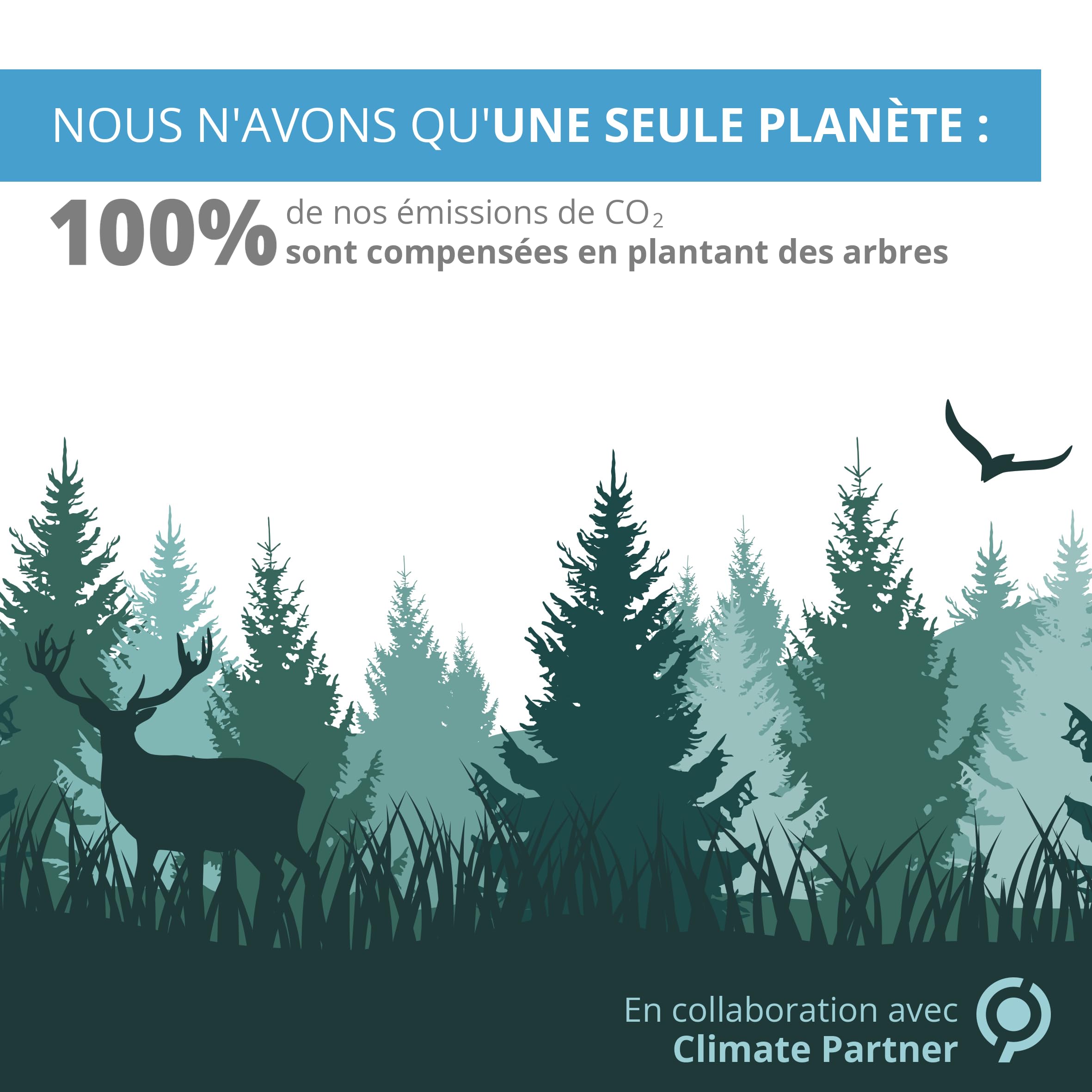 Argent Colloïdal 300 ml - 40 PPM - Bouchon Doseur et Spray 30ml à Remplir - Fabriqué en France