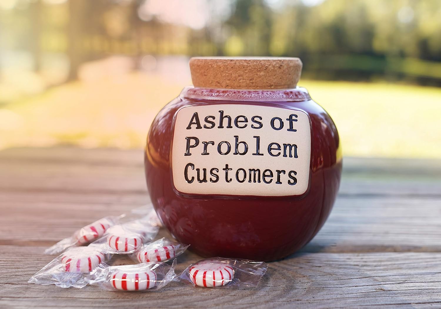 Cottage Creek Jars - Ashes of Problem Customers Ceramic Jar with Lid - Home Decor & Coin Bank, Unique Gifts for Women & Men, Storage Container for Kitchen, Bedroom, Office