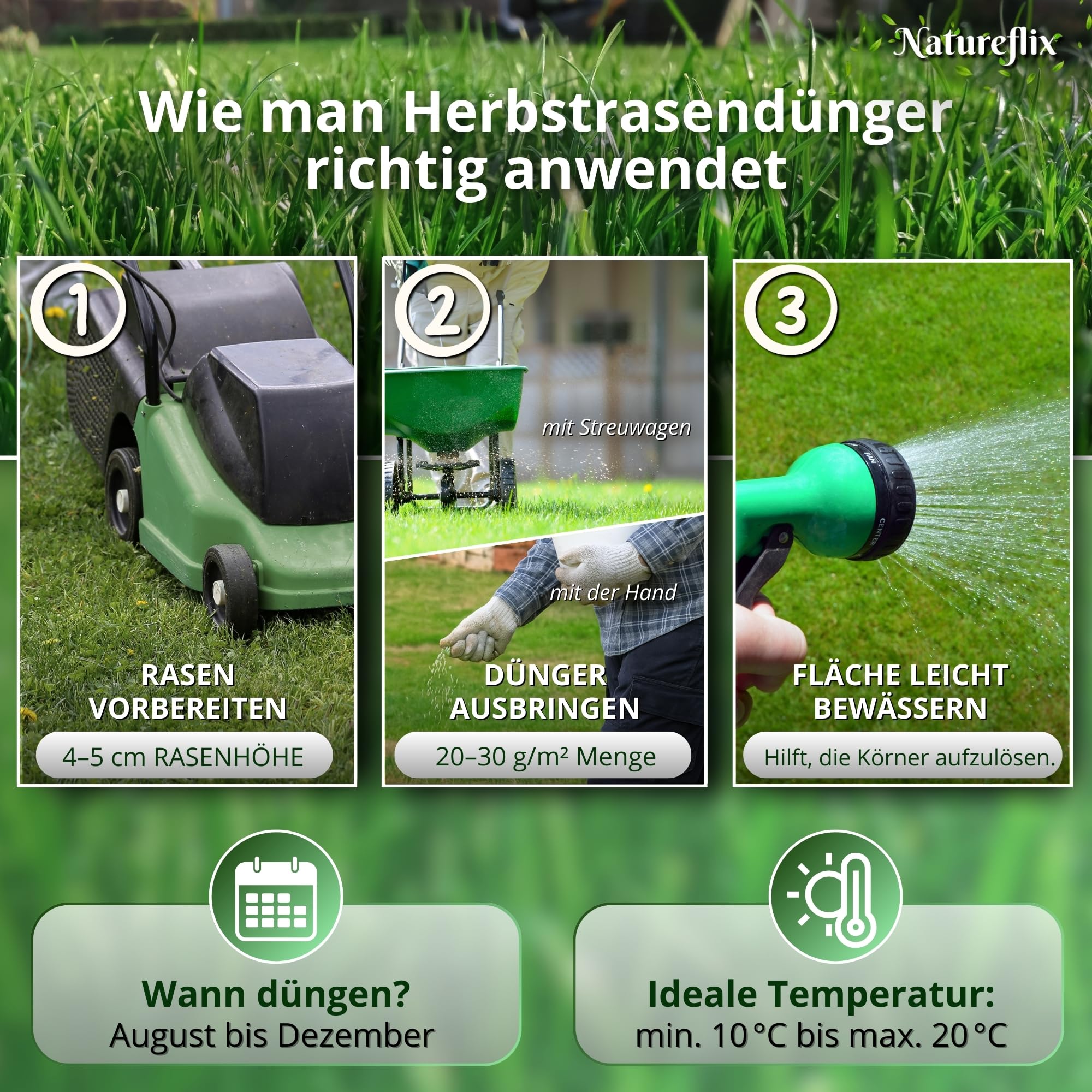 Herbstdünger Rasen | Herbstrasendünger staubarm | mit Winterschutz | Körnung 2–5 mm | Rasendünger Herbst ist Kind- & tierfreundlich (Herbstdünger, 20kg für 1000m²)