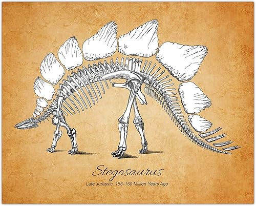 Miniatura 3 de Buzz Unplugged Juego de 4 fósiles de dinosaurios vintage, arte de pared de dinosaurio de 8 x 10 sumérgete en una aventura jurásica con esta