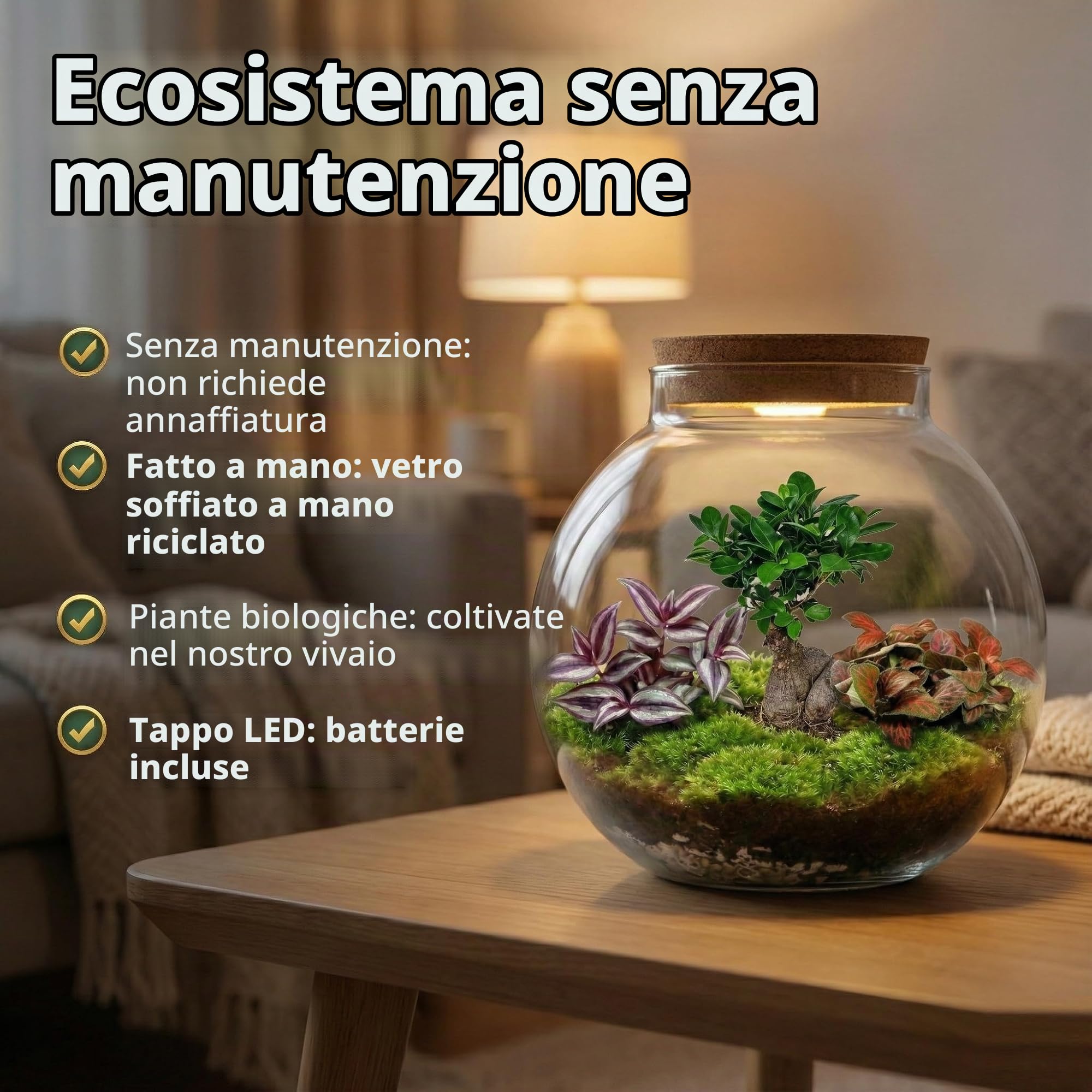 vdvelde.com - Bonsai Terrarium Biodome - Ecoworld giardino in bottiglia con bonsai e mini piante in vetro - piante terrario vetro Ø 25 cm ↥ 28 cm - Mini ecosistema con luce