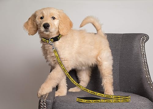 Vista 22 de Pets First NHL Pittsburgh - Correa de pingüinos para perros y gatos, mediana. ¡Camina linda y elegante! La mejor correa para fanáticos del hockey
