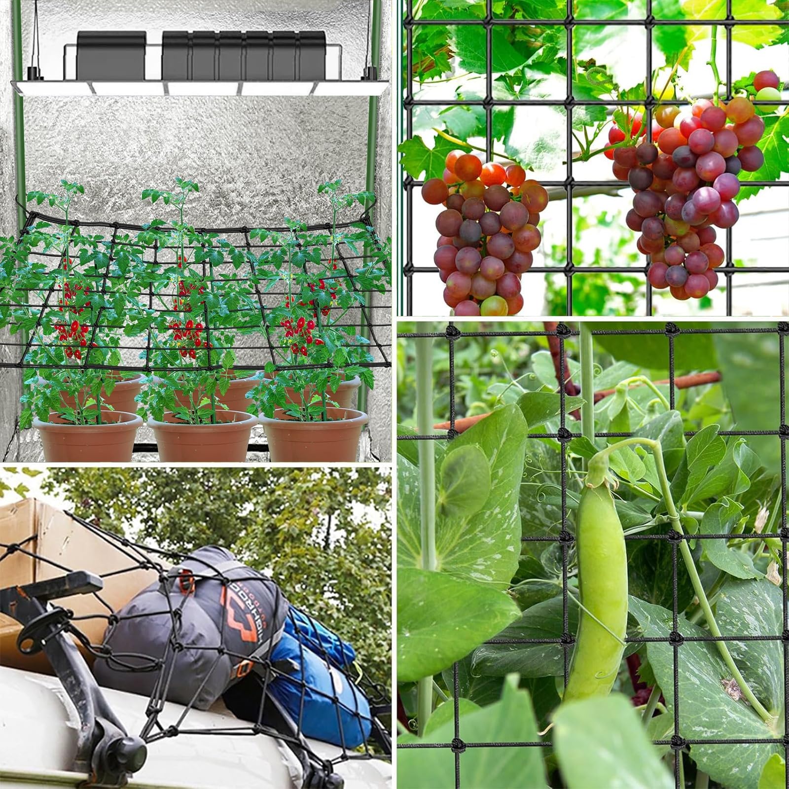 Rete Scrog, Tenda Per Piante Rete Elastica, Rete di Supporto per Piante Per Rete Di Supporto Per Verdure, Frutta E Piante Da Fiore(120x120cm