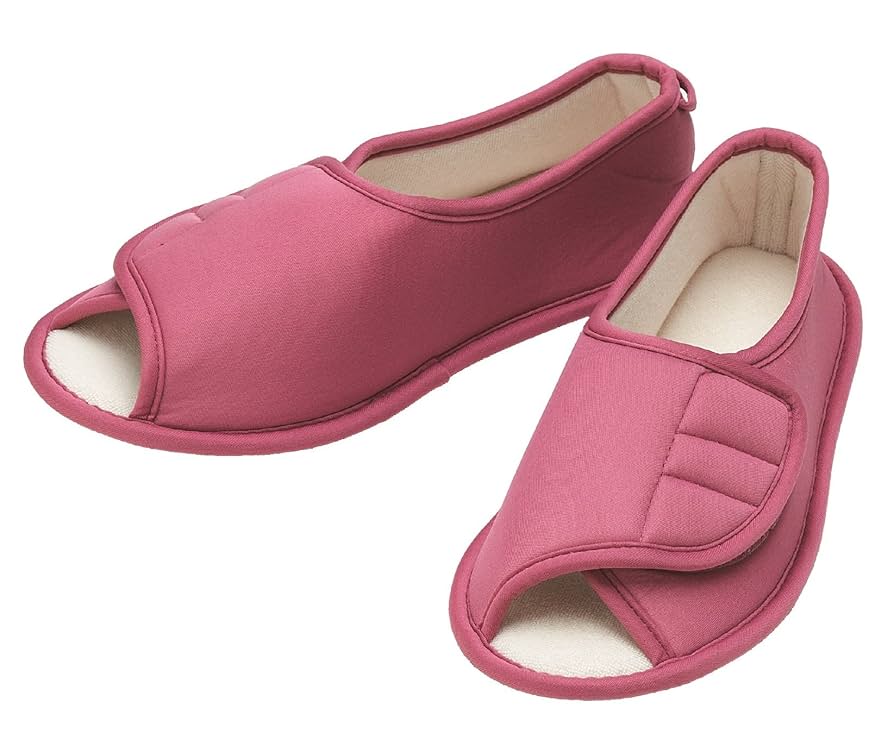 たんぽぽ様用　再出品 Amazon | 徳武産業 介護シューズ たんぽぽ日和 6008/T-008