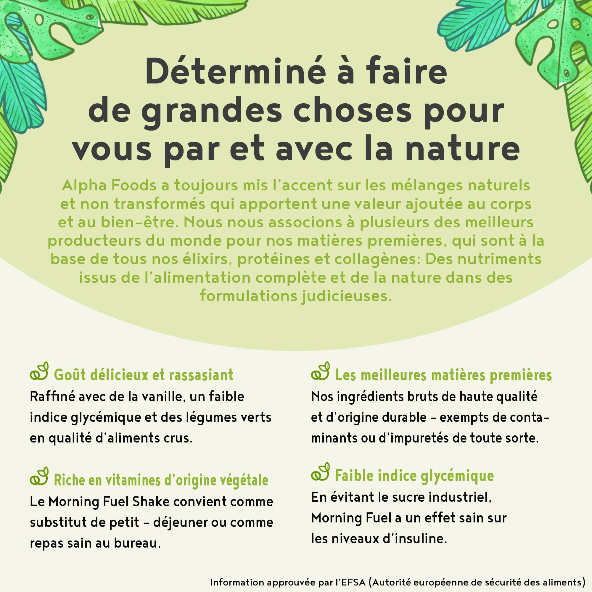 Morning Fuel | Mélange Vanille et Matcha pour le petit-déjeuner | Proteine vegetale de pois germés, quinoa, avoine, algues, alfalfa, épinards, maca, spiruline | vit. B6 + B12 | 600gr | Alpha Foods